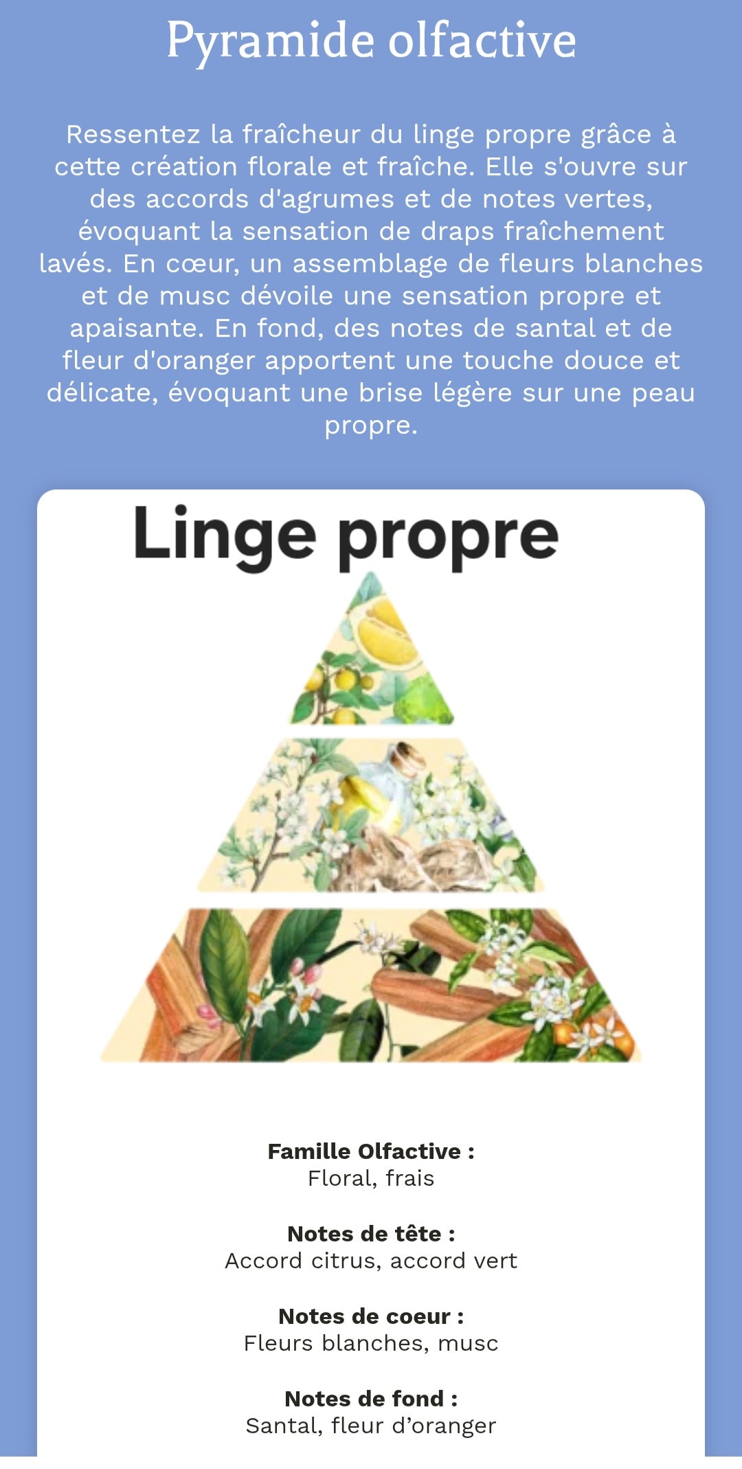 Diffuseur voiture parfumé