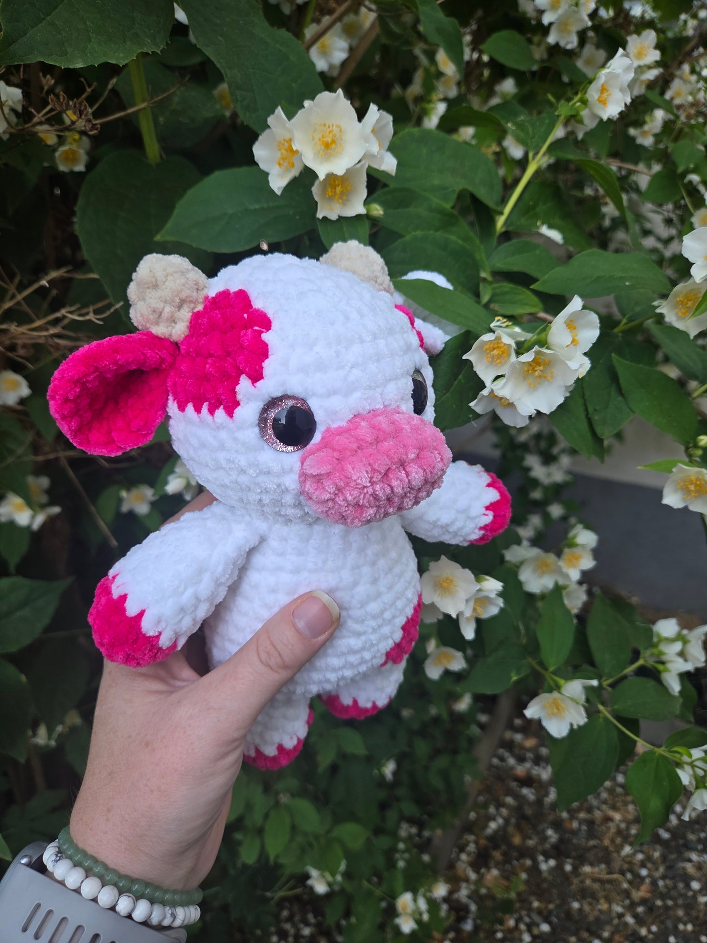 Vache blanche et fushia