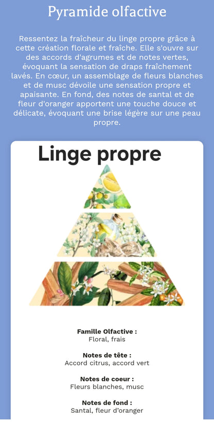 Diffuseur voiture parfumé