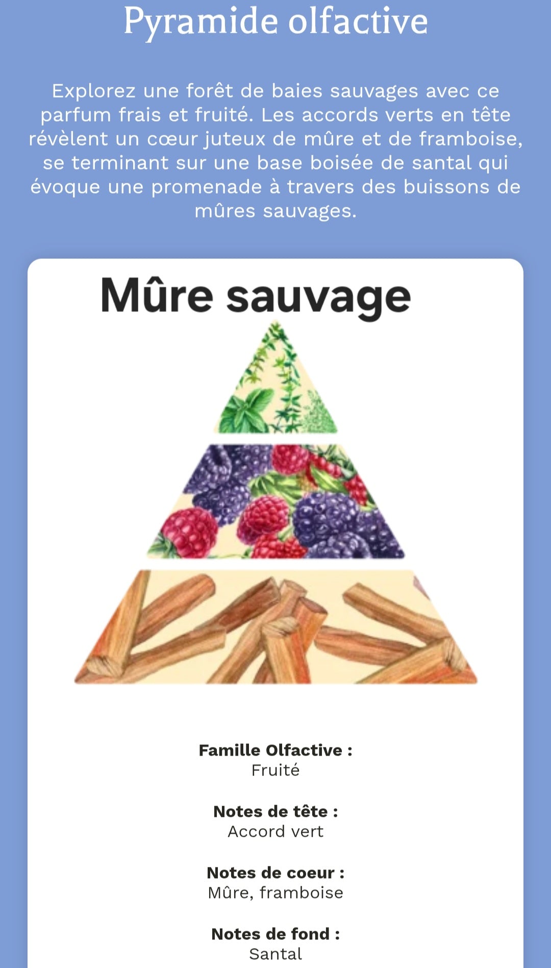 Diffuseur voiture parfumé