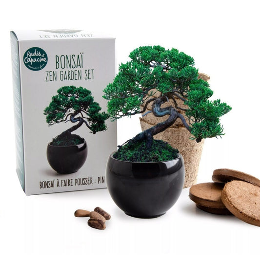 Bonsaï pin